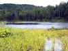 Mud Pond